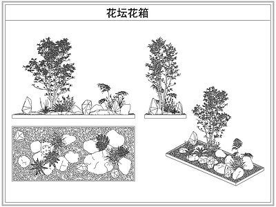 灌木种植 花坛花箱花池