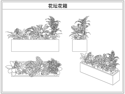 灌木种植 花坛花箱花池