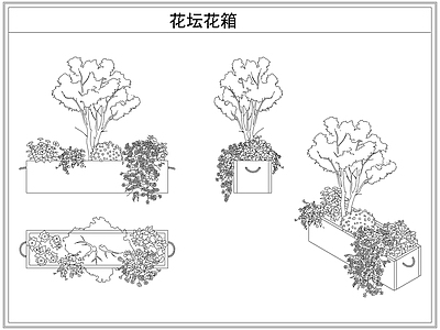 灌木种植 花坛花箱花池