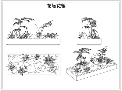 灌木种植 花坛花箱花池