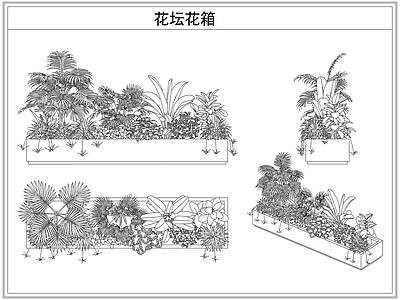 灌木种植 花坛花箱花池