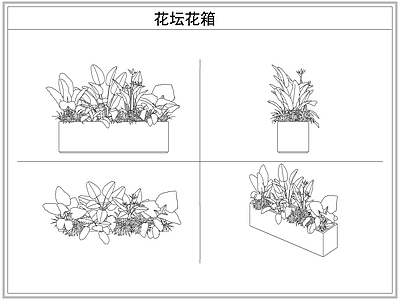 灌木种植 花坛花箱花池
