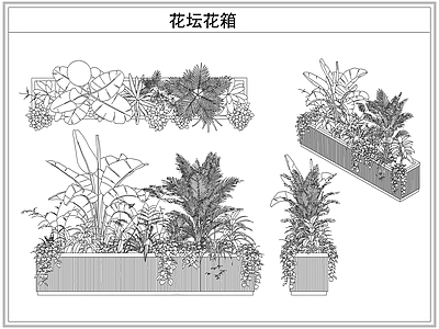 灌木种植 花坛花箱