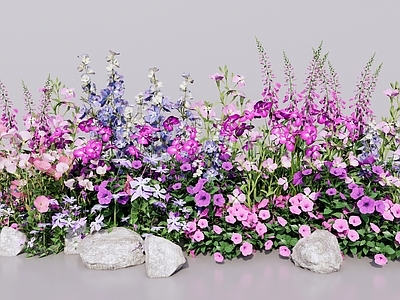 现代主义花境 粉紫系花镜花卉 灌木花草群组 庭院花园植物景观 开花灌木组团 牵牛花鼠尾草