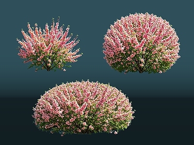 灌木 2D植物 丛生花灌木 碧桃 绿化雕塑 绿植