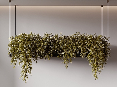 极简垂直绿化 吊篮绿植 绿植吊饰 植物吊灯 绿植墙 植物吊饰