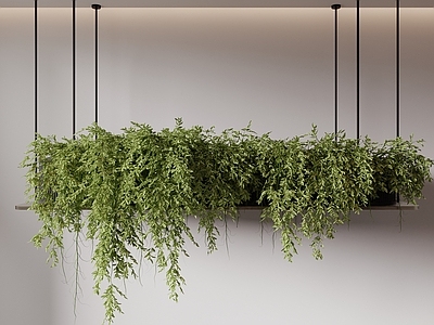 极简垂直绿化 吊篮绿植 绿植吊饰 植物吊灯 绿植墙 植物堆