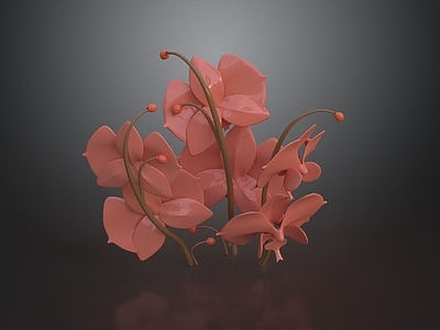 现代花境 珊瑚粉色花 花卉 花境 花景 花艺