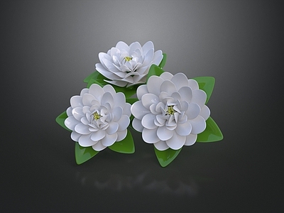 新中式花境 白莲花 花卉 花 花景 花园