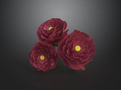 现代花境 洋牡丹 花卉 花景 花园 花