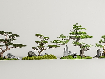 禅意庭院 新中式造型松景观 迎客松罗汉松黑松 景观造型树 中式庭院造景 盆景摆件组合