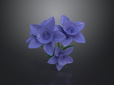 现代花境 水仙 花卉 花景 花境 花草
