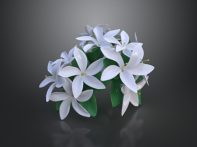 轻奢花境 单瓣茉莉 花卉 花境 花园 花草