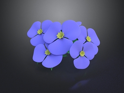 极简休憩花园 勿忘草 花卉 花境 花园 花草