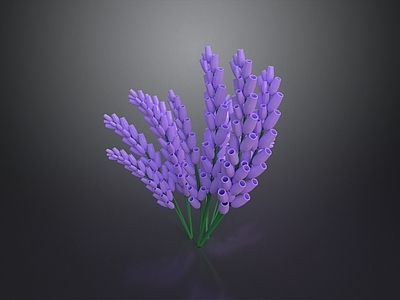 极简休憩花园 薰衣草 花卉 花景 花园 花草
