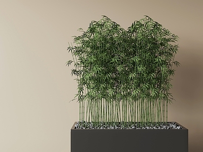 极简竹子 竹子庭院竹子 景观竹庭院小品