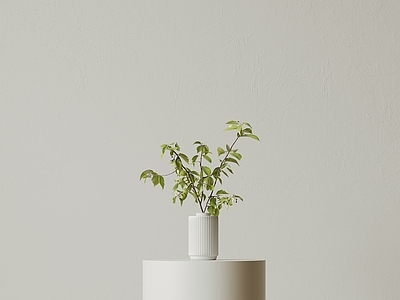 极简花艺 现代中古花瓶花艺 新中式花瓶 侘寂风装饰品 极简玻璃花瓶 餐桌陶瓷花瓶