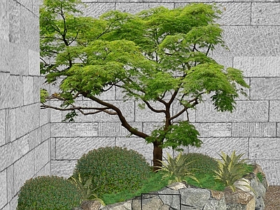 新中式景观乔木 羽毛风2d