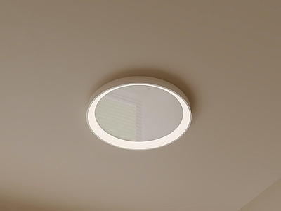 现代简约吸顶灯 圆形灯具 顶面安装 房间照明 简洁灯体 灯具照明