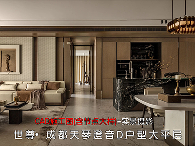 大平层 成都天琴澄音 大平层施工图