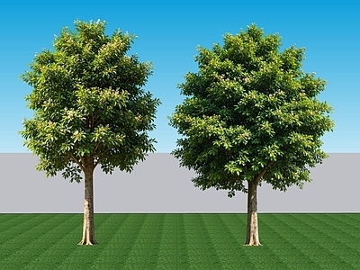 极简乔木 2D植物 常绿阔叶乔木榕树