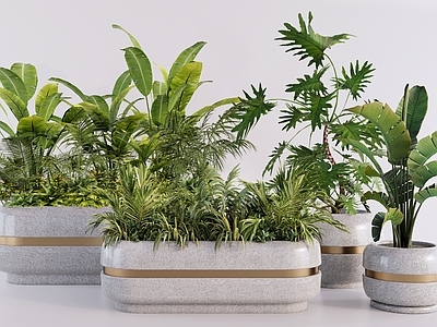 轻奢植物组合 热带绿植花箱组团 外摆花箱落地盆栽 景观花钵组合 长条圆角花槽 景观花钵花箱盆栽