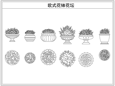 灌木种植 欧式花钵花坛