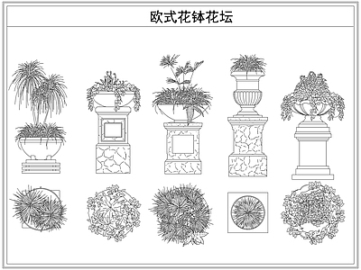 灌木种植 欧式花钵花坛