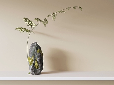 禅意绿植摆件 盆栽植物景观石头