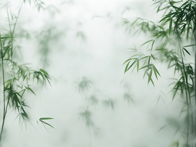 其他风景