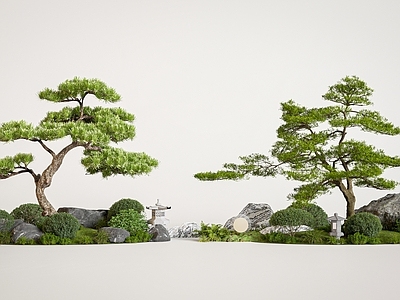 禅意盆景 新中式广场景观 新中式松树景观 灌木组合 庭院景观 植物景观组合
