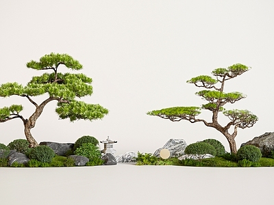 禅意盆景 新中式广场景观 新中式松树景观 灌木组合 庭院景观 植物堆