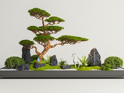 新中式室内景观 新中式禅意景观 景观造景 景观小品 松树 植物组合