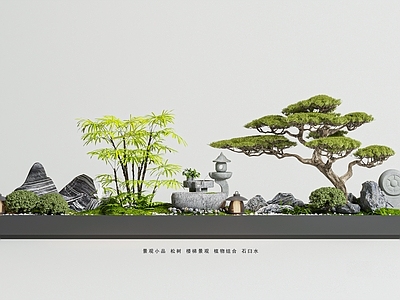 新中式景观室内景观 禅意室内景观 景观造景 松树 植物组合 石臼水景