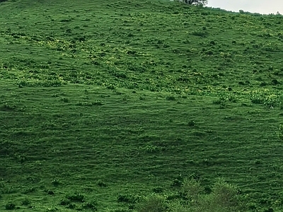 其他风景