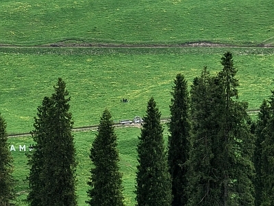 其他风景