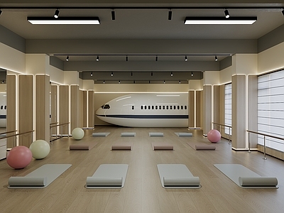 原木风瑜伽室 瑜伽室 形体室 飞机模拟舱 高铁模拟舱