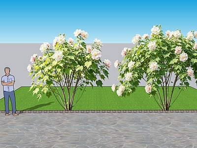 现代主义灌木 2D植物 丛生花灌木 木芙蓉 绿化雕塑 绿植