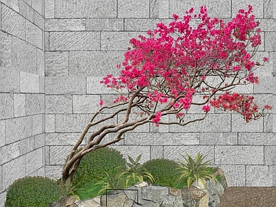 新中式景观灌木 杜鹃花树