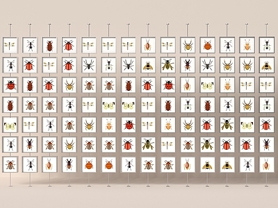 极简展示墙 标本展示墙 昆虫标本墙 互动墙 现代景观小品 景观廊架
