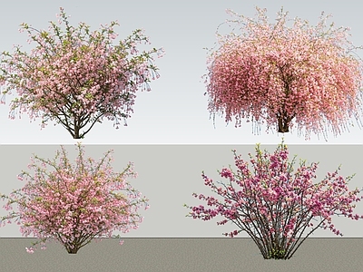 灌木 2D植物 丛生花灌木 垂丝海棠 绿化雕塑 绿植