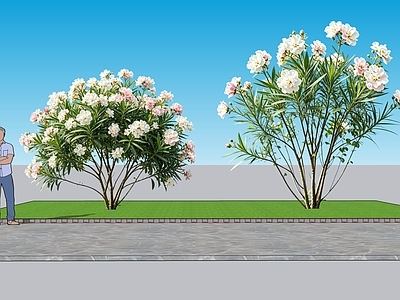 现代主义灌木 2D植物 丛生花灌木 夹竹桃 绿化雕塑 绿植