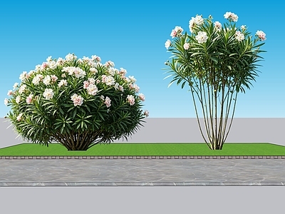 现代主义灌木 2D植物 丛生花灌木 夹竹桃 绿化雕塑 绿植
