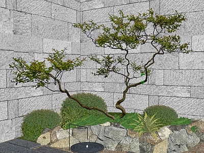 新中式景观乔木 造型树2d 杂木