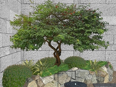 新中式景观乔木 造型树2d