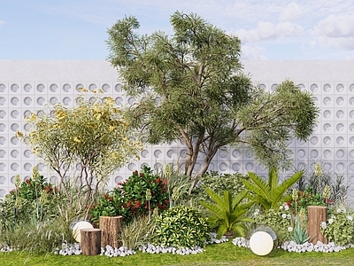 现代主义休憩花园 庭院花园景观 庭院植物组合 灌木花草组合 串钱柳苏铁 公园植物群组
