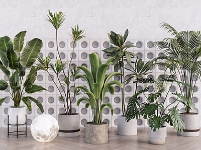 现代简约盆栽 室内大型观叶植物 造型落地盆栽 热带植物组合 橡皮树散尾葵 千年木棕榈