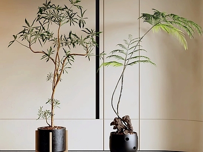 新中式盆栽 绿植盆栽 盆景 植物盆栽 花盆绿植 室内盆栽