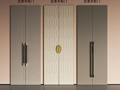 轻奢衣柜 现代柜门衣柜门 现代柜门 现代柜门皮革门 现代皮革门