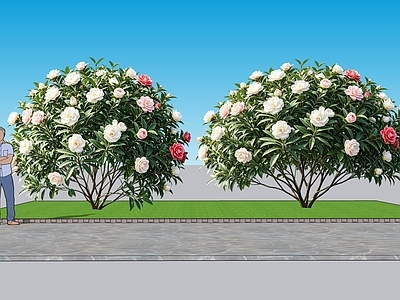 现代主义灌木 2D植物 丛生花灌木 山茶花 绿化雕塑 绿植
